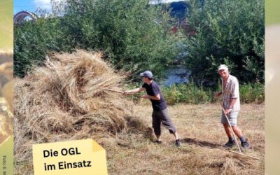 Naturschutz: Nicht nur reden, sondern anpacken!