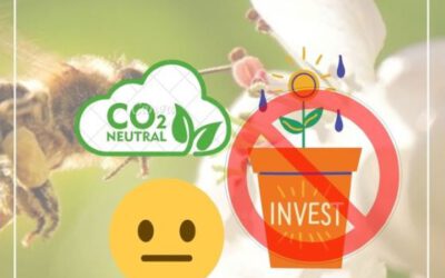 Ernüchternd: Eigenbetrieb Wohnen plant keine Investitionen zur Erreichung Klimaneutralität