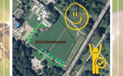 Erfolg: GR beschließt auf Antrag der OGL Schattenallee für den Bruckenwasen