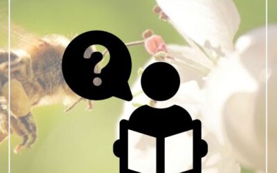 Unverständlich: GR-Mehrheit verweigert rasche Klärung der Neckarwärme-Option