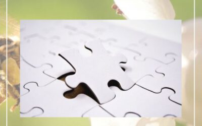 Investitionsplanung im neuen Haushalt (2): Die „freiwilligen“ Aufgaben