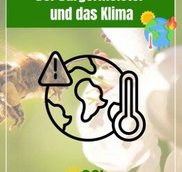 Der Bürgermeister und das Klima