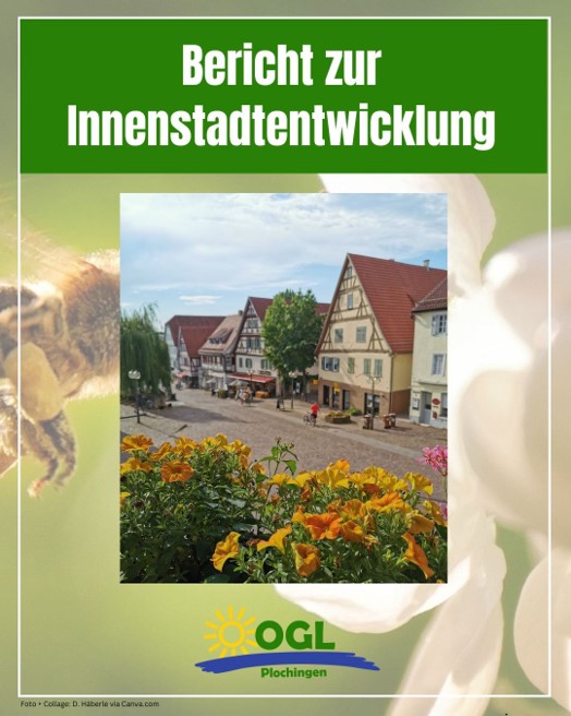 Bericht zur Innenstadtentwicklung
