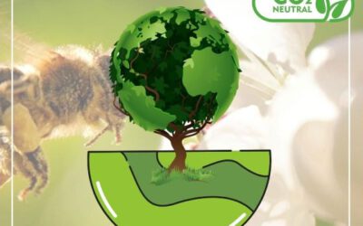 Unsere HH-Anträge (1): Roadmap zur Klimaneutralität