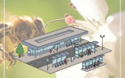 Unsere HH-Anträge (2): ZOB ENDLICH sanieren!