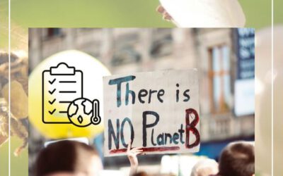 Endlich erfolgreich: Plan für Klimaneutralität beschlossen