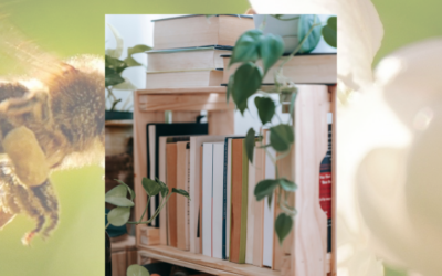 Mit Schwung ins neue Jahr!