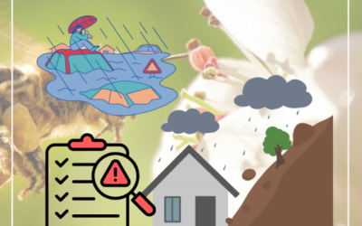 Fünf Jahre nach OGL-Antrag: Starkregenrisiko wird ermittelt