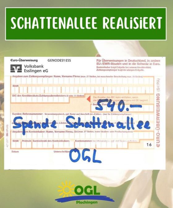 Schattenalle realisiert