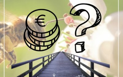 Unnötige Mehrkosten durch Nicht-Vergabe 