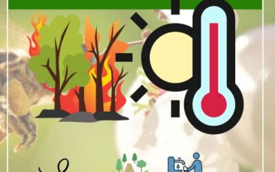Ein Sommer mit Ausrufezeichen